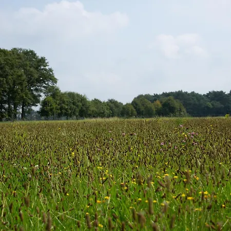 Luksusowy namiot Safaritent 4 Persoons Lindershoeve Bergeijk