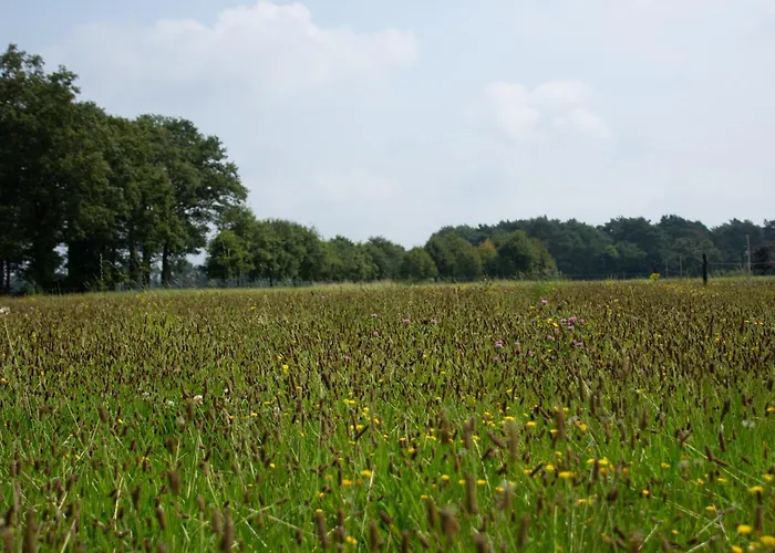 Tente de luxe Safaritent 4 Persoons Lindershoeve Bergeijk
