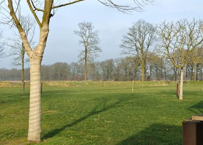 Safaritent 4 Persoons Lindershoeve Bergeijk